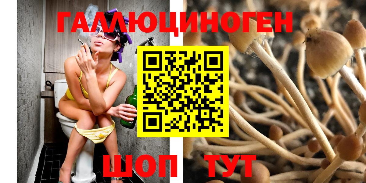 Псилоцибиновые грибы мухоморы Будённовск