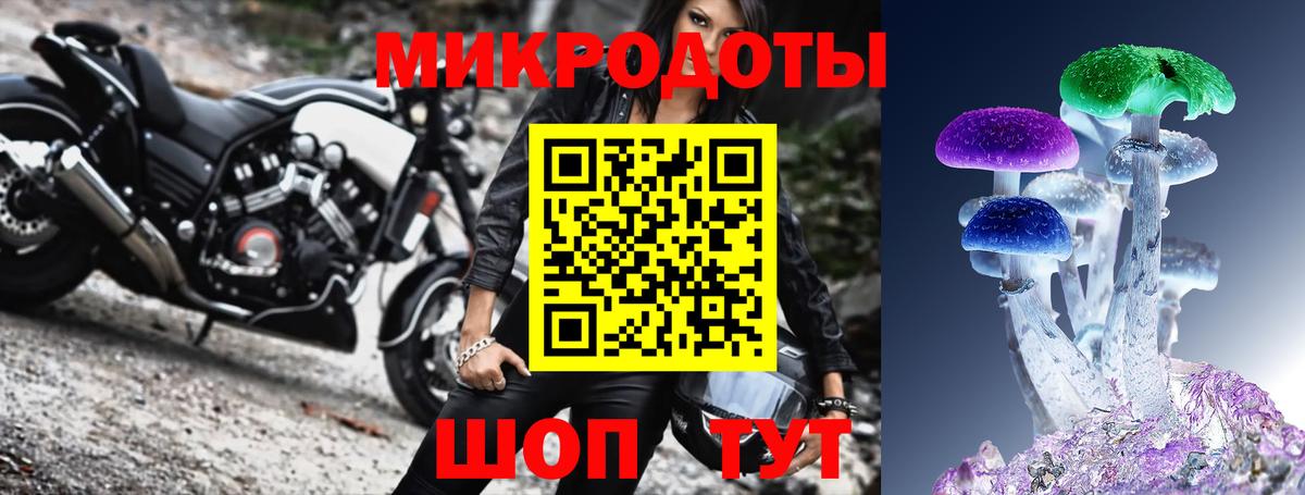 Галлюциногенные грибы Cubensis  Псилоцибиновые грибы ЛСД  купить закладку  Будённовск  Вход с VPN 